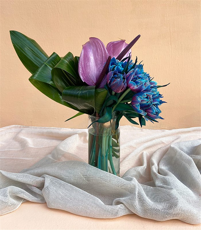 Andromeda Galaksi Laleler Aranjmanı