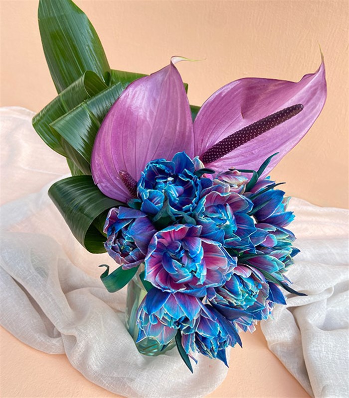 Andromeda Galaksi Laleler Aranjmanı