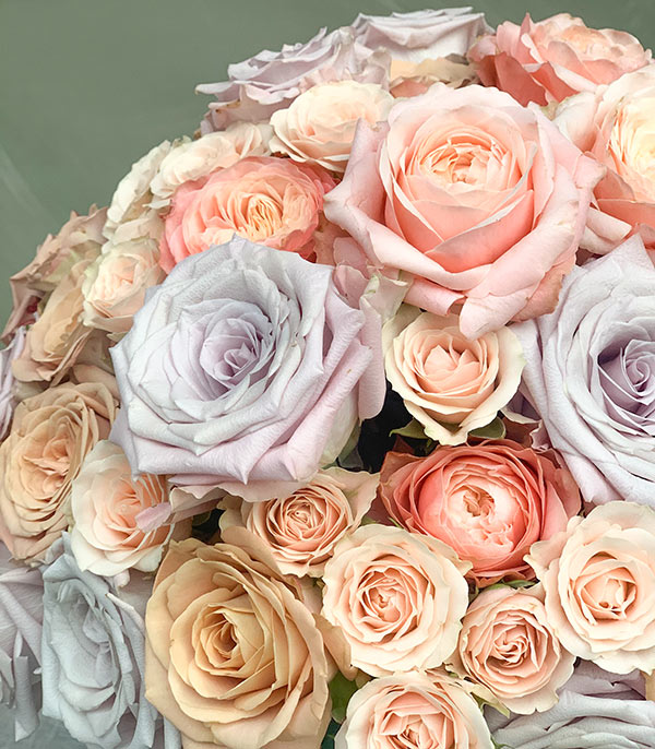 Aurora Grand Soft 50 Roses Bouquet