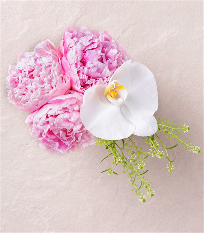 Mini Vazoda Şakayık ve Orkide