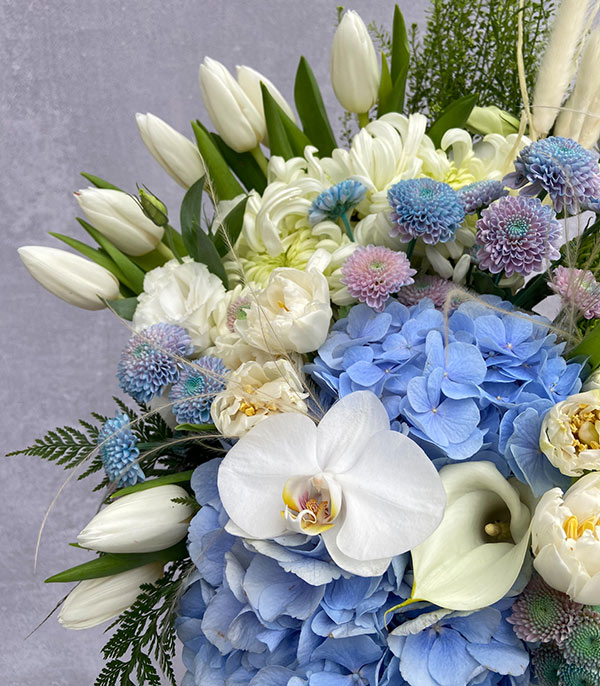 Edward Black Grand Flowers in Box White Blue