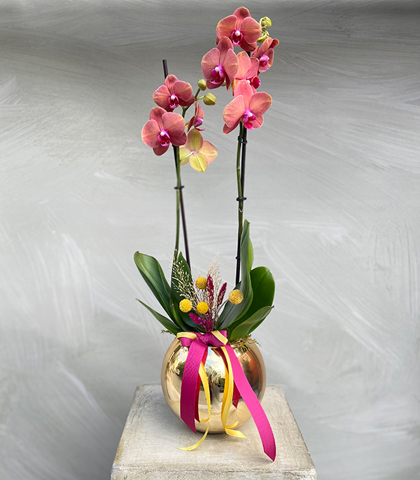 Luxe Gold Vase Orchid Coral