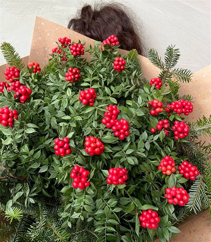 Yılbaşı Çiçeği Deluxe Kokina Buketi