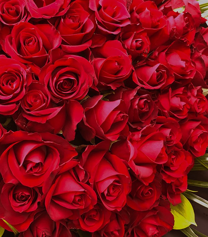 50 Kırmızı Gül Buketi Grand Deluxe