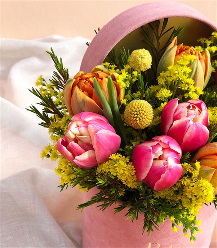 Lucia Rengarenk Pembe Turuncu Mini Kutu Laleler