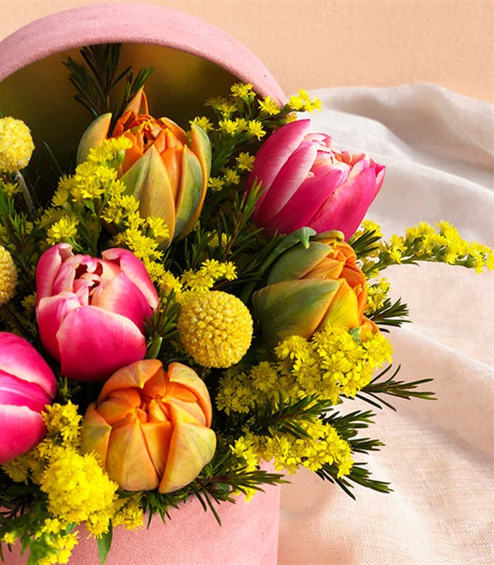 Lucia Rengarenk Pembe Turuncu Mini Kutu Laleler