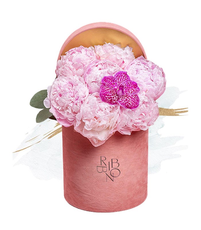 Clara Pembe Kutuda 7 Pembe Şakayık