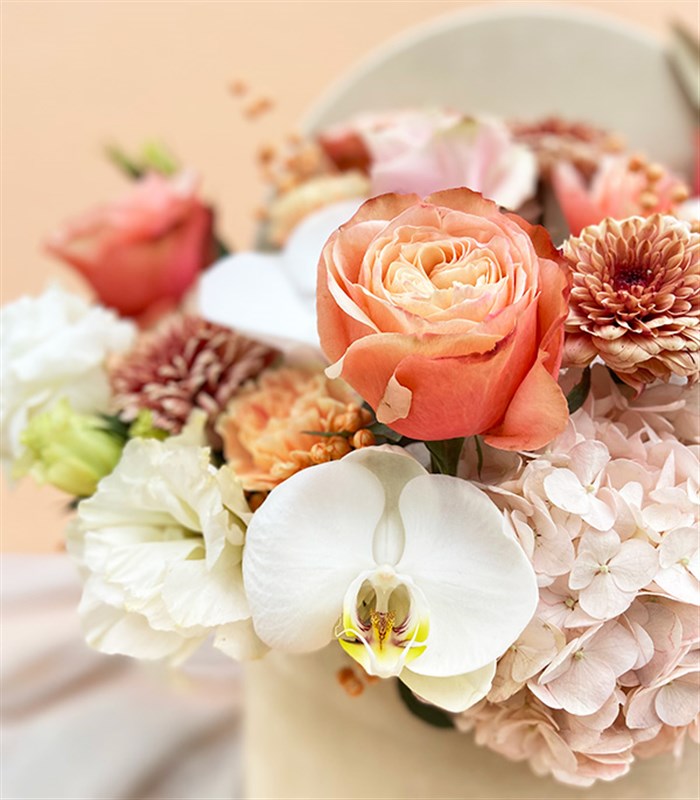 Lena Grand Pembe Ortanca Somon Gül Krem Kutu Çiçek