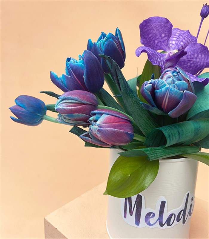 İsme Özel Vazoda Galaksi Laleler Mini Aranjman