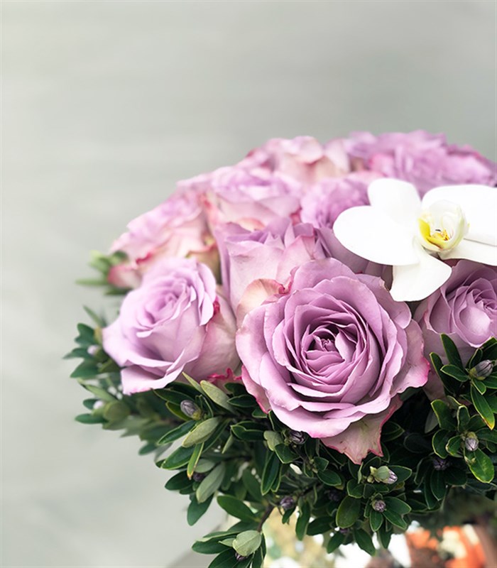 Chloe Silver Top Vazoda 25 Lila Gül