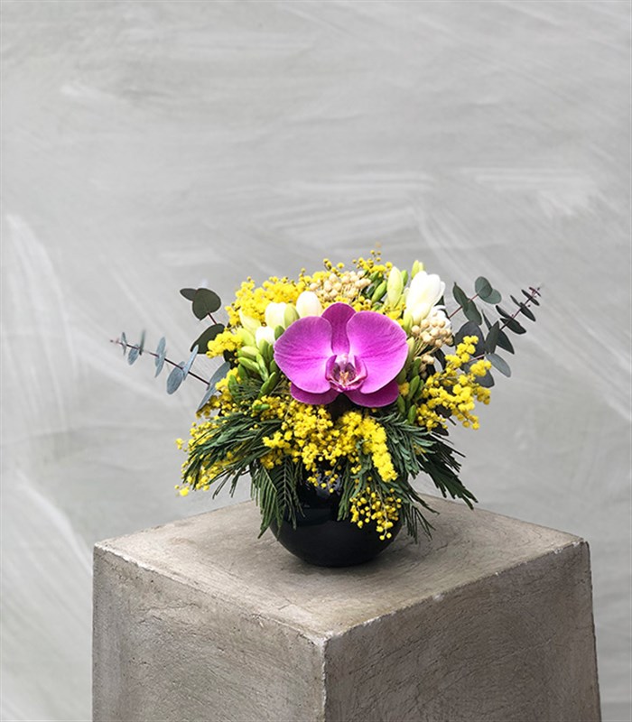 Virginia Woolf Mini Mimoza Aranjman