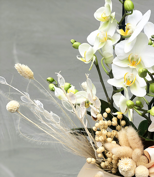 Marina Abramović Deluxe Vazoda Beyaz Bellisimo Orkide