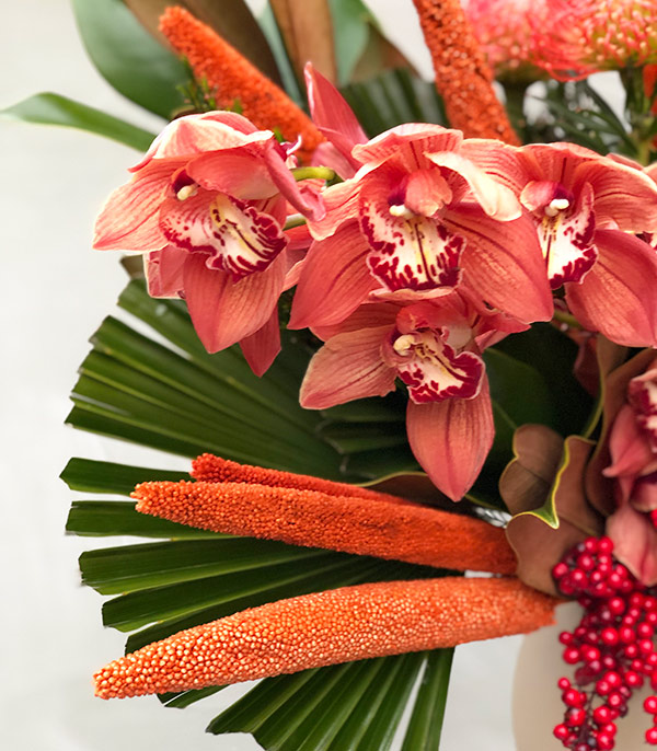 Phoenix Orange Gala Orchid Anastasya Deluxe Arrangement