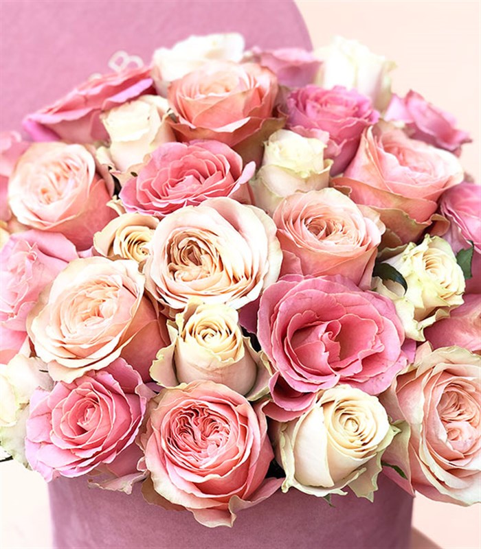 Rosaline Deluxe Pembe Somon Kutuda Güller