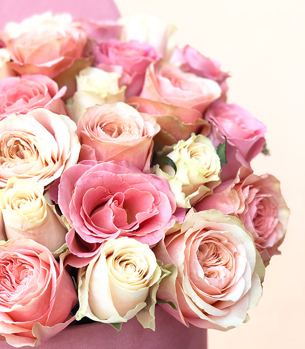 Rosaline Deluxe Pink Salmon Roses in Box