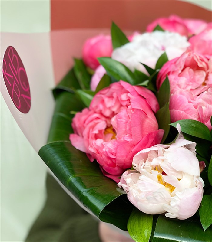 Marshmallow Grand Deluxe Mercan Pembe 20 Şakayık Buketi