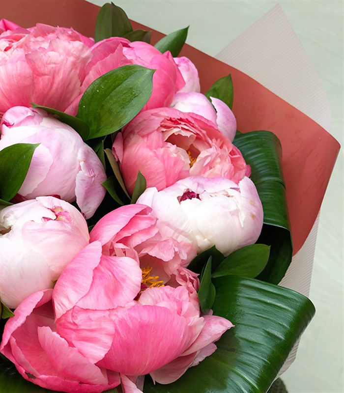 Marshmallow Grand Deluxe Mercan Pembe 20 Şakayık Buketi