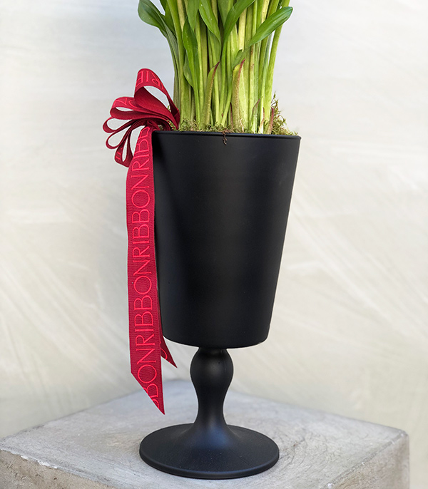 Burgendy Gala Black Glass Flower in Pot