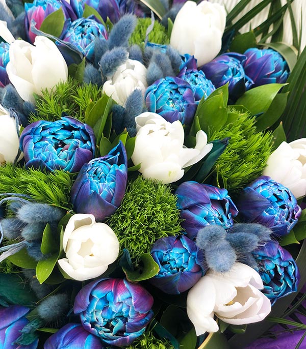 Messier Grand Deluxe Galaxy Tulips Bouquet