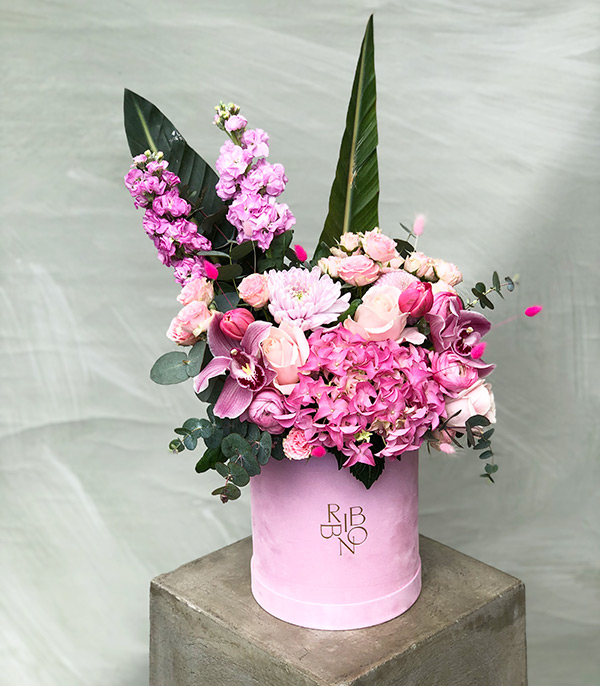 Cotton Candy Pink Hydrangea Box Flower