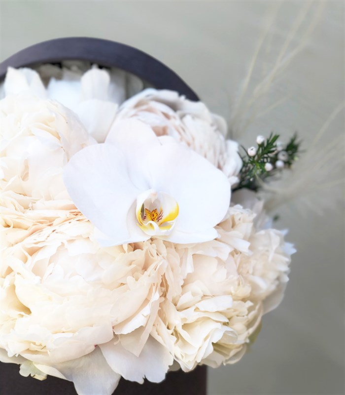 Gri Kutuda 7 Beyaz Şakayıklar