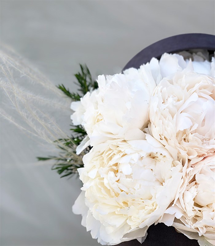 Gri Kutuda 7 Beyaz Şakayıklar