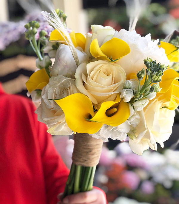 Abbey Beyaz Şakayık Sarı Gala Gelin Çiçeği