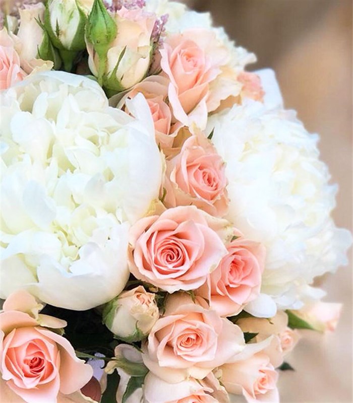 Lexi Pudra Çardak Gül 7 Beyaz Şakayık Gelin Buketi