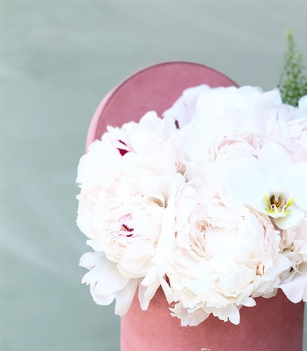 White Peonies in Pink Box