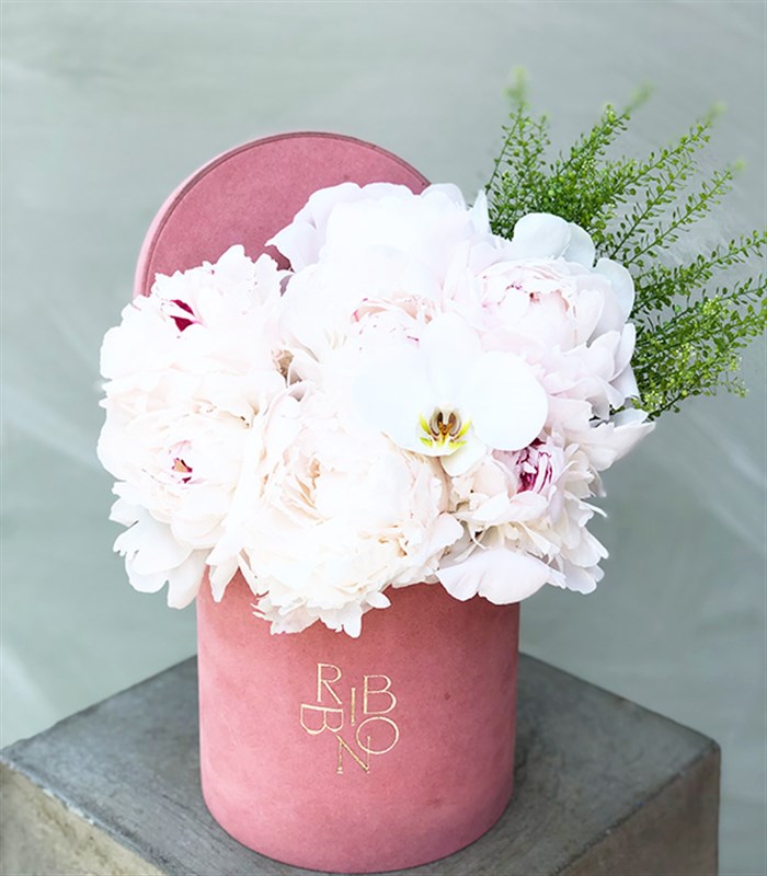 Pembe Kutuda 7 Beyaz Şakayık