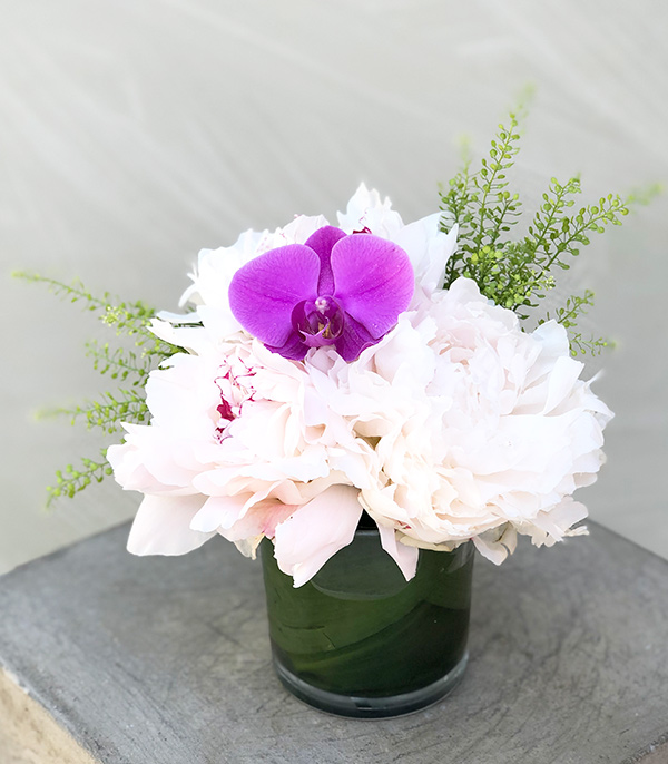 White Peony Orchid in Tiny Vase