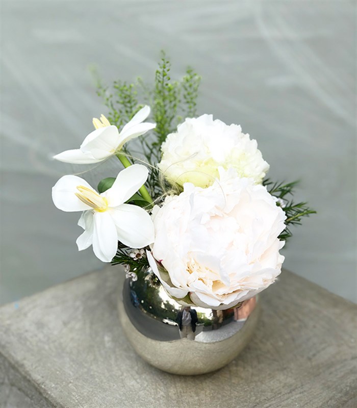 Naive Mini Silver Vazoda Şakayık Beyaz Lale