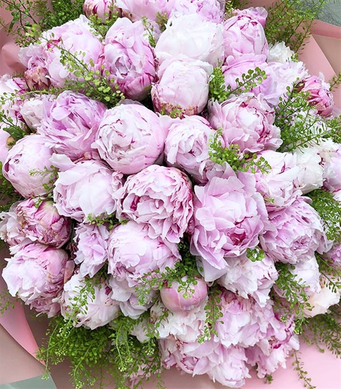 Royal Deluxe Pembe 50 Şakayık Buketi