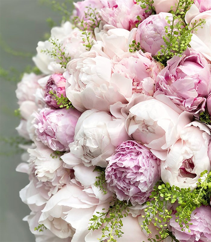 101 Şakayık Buketi Royal Deluxe Pembe Beyaz