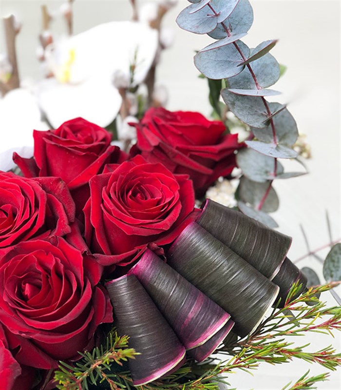 Jenny Kırmızı Gül Beyaz Orkide Siyah Vazo Aranjman