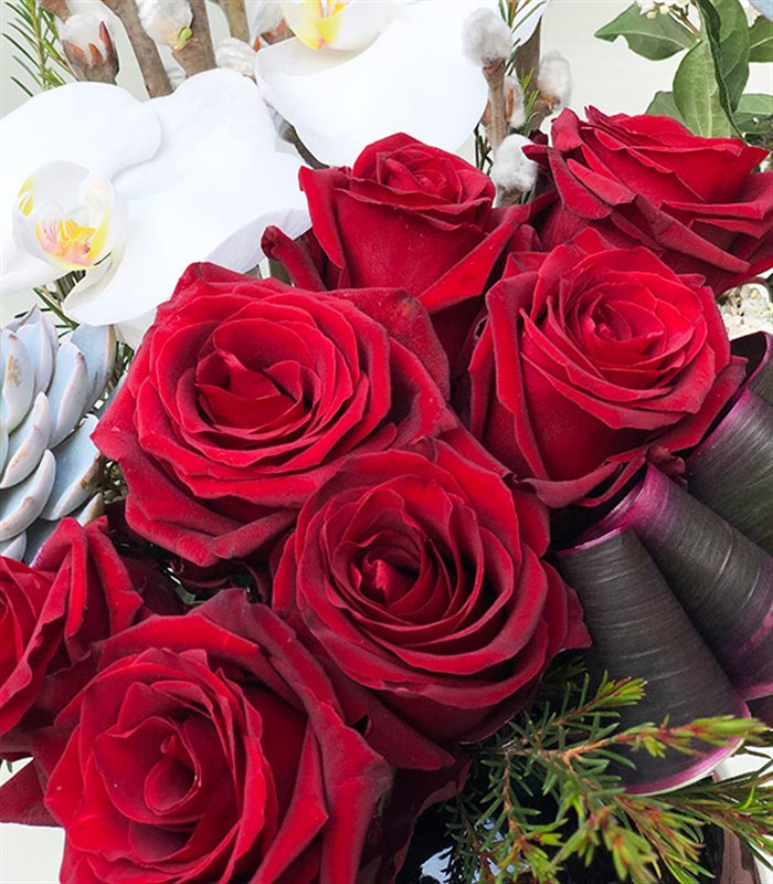 Jenny Kırmızı Gül Beyaz Orkide Siyah Vazo Aranjman