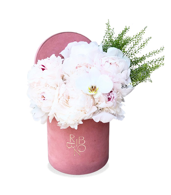 Pembe Kutuda 7 Beyaz Şakayık