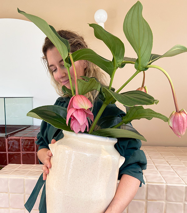 Krem Grand Seramik Saksıda Ekili Medinella Çiçeği