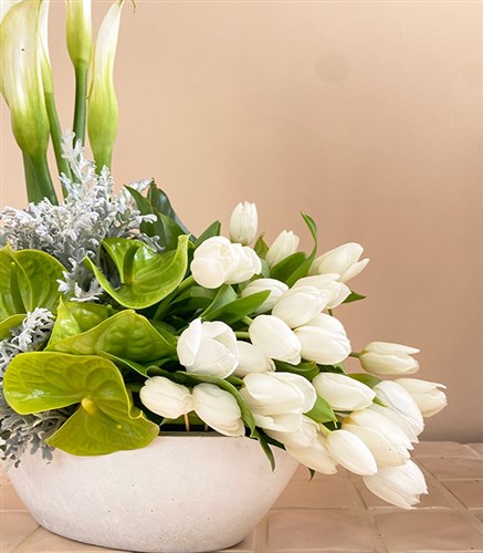 Swan Beton Vazoda Beyaz Lale Gala Deluxe Aranjman