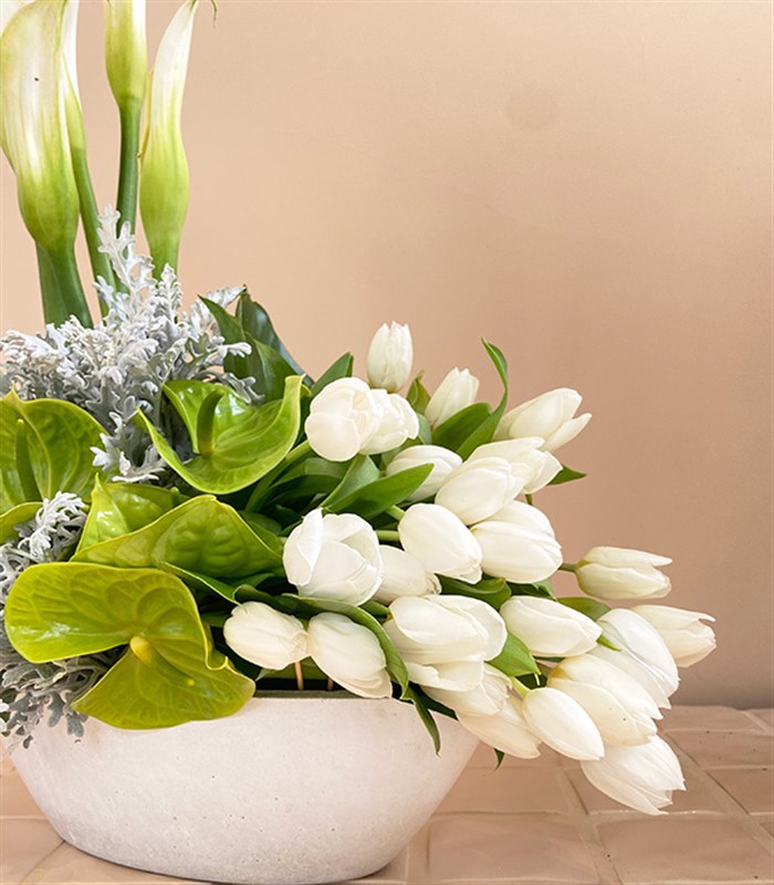 Swan Beton Vazoda Beyaz Lale Gala Deluxe Aranjman