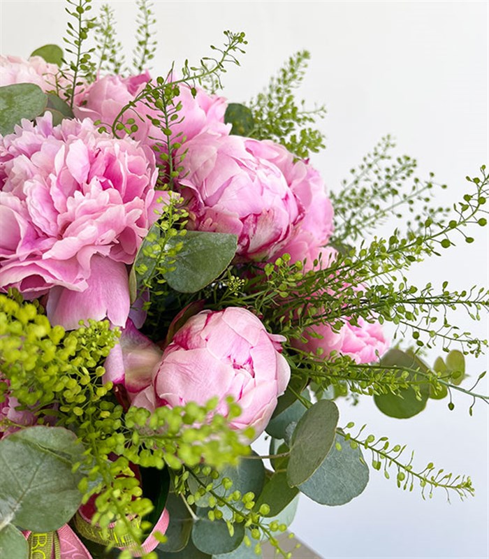 Deluxe Vazoda Pembe 20 Şakayık