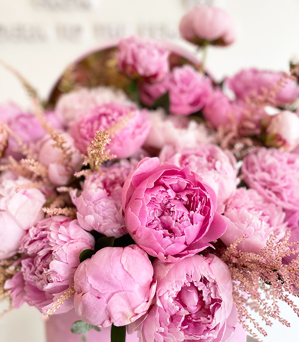 Grand Deluxe 30 Pink Peonies in Pink Box