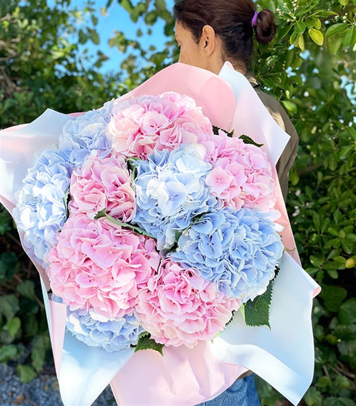 Carroline Grand Deluxe Mavi Ortanca Pembe Ortanca Buketi