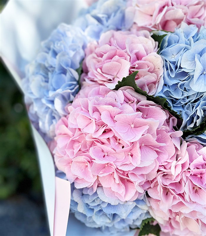 Carroline Grand Deluxe Mavi Ortanca Pembe Ortanca Buketi