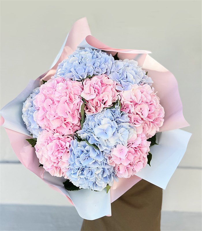 Carroline Grand Deluxe Mavi Ortanca Pembe Ortanca Buketi