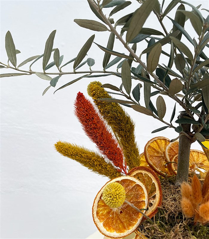 Gold Cam Vazoda Zeytin Ağacı