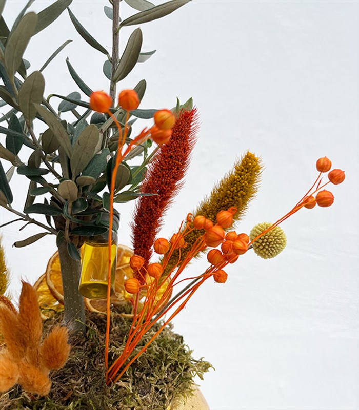 Gold Cam Vazoda Zeytin Ağacı