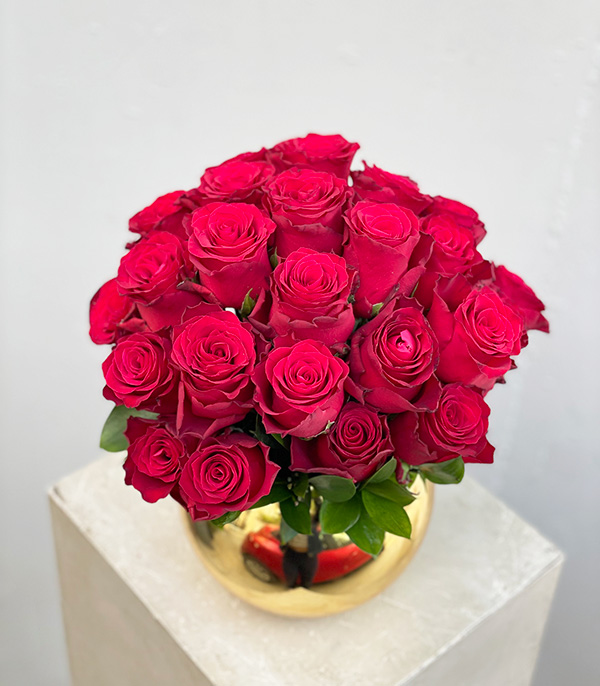 25 Red Roses in Gold Vase Equatorial Roses