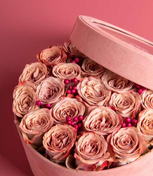 Cream Roses in Velvet Box