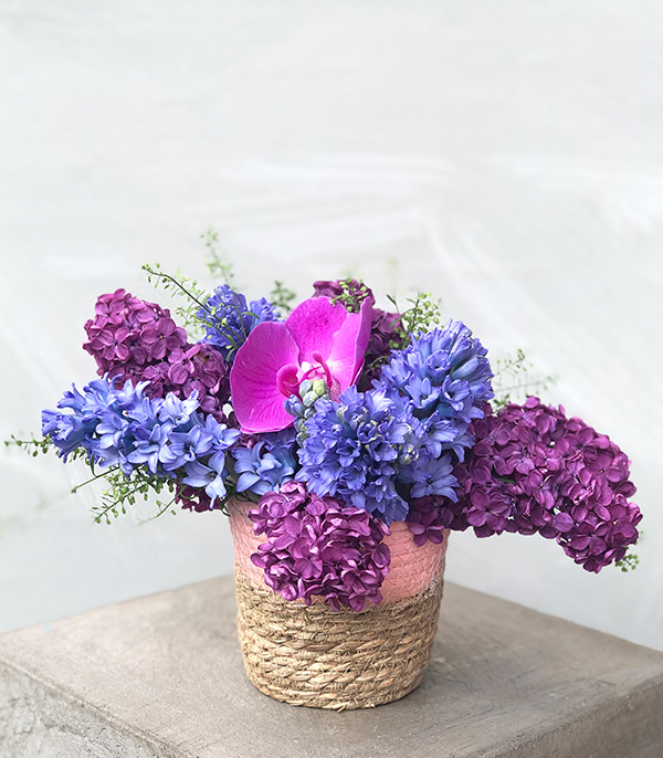 Hyacinth Lilac Arrangement in Mini Basket